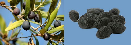 conserva di olive nere al forno,olive nere a conseva,olive nere,olive nere secche,